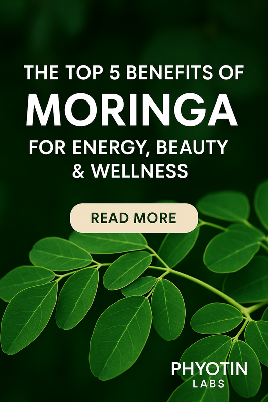The Top 5 Benefits of Moringa for Energy, Beauty & Wellness By Phyotin Labs