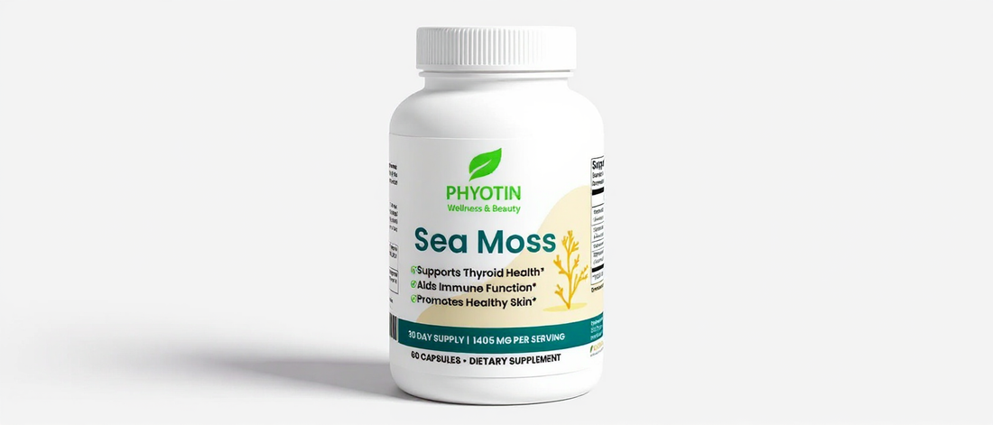Sea Moss: The Nutrient-Dense Superfood Taking TikTok by Storm