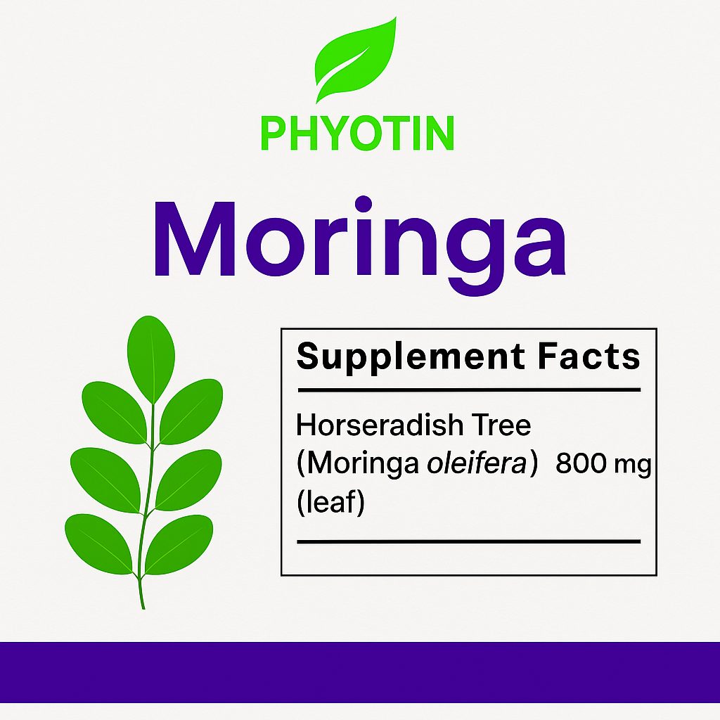 PHYOTIN Moringa 800mg - Organic Superfood Energy & Immunity Supplement