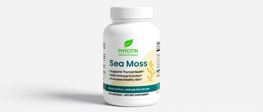 Sea Moss: The Nutrient-Dense Superfood Taking TikTok by Storm