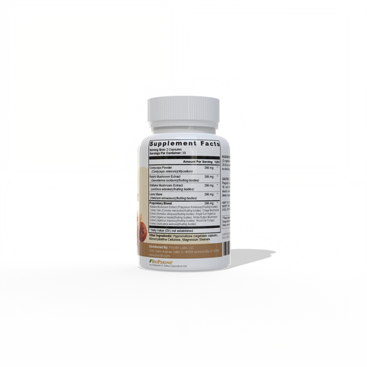 Phyotin Mushroom 10X blend featuring lion’s mane and adaptogenic mushrooms