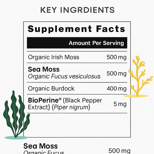 PHYOTIN Sea Moss Complex 1405mg - Irish Moss, Bladderwrack & Burdock for Thyroid Health